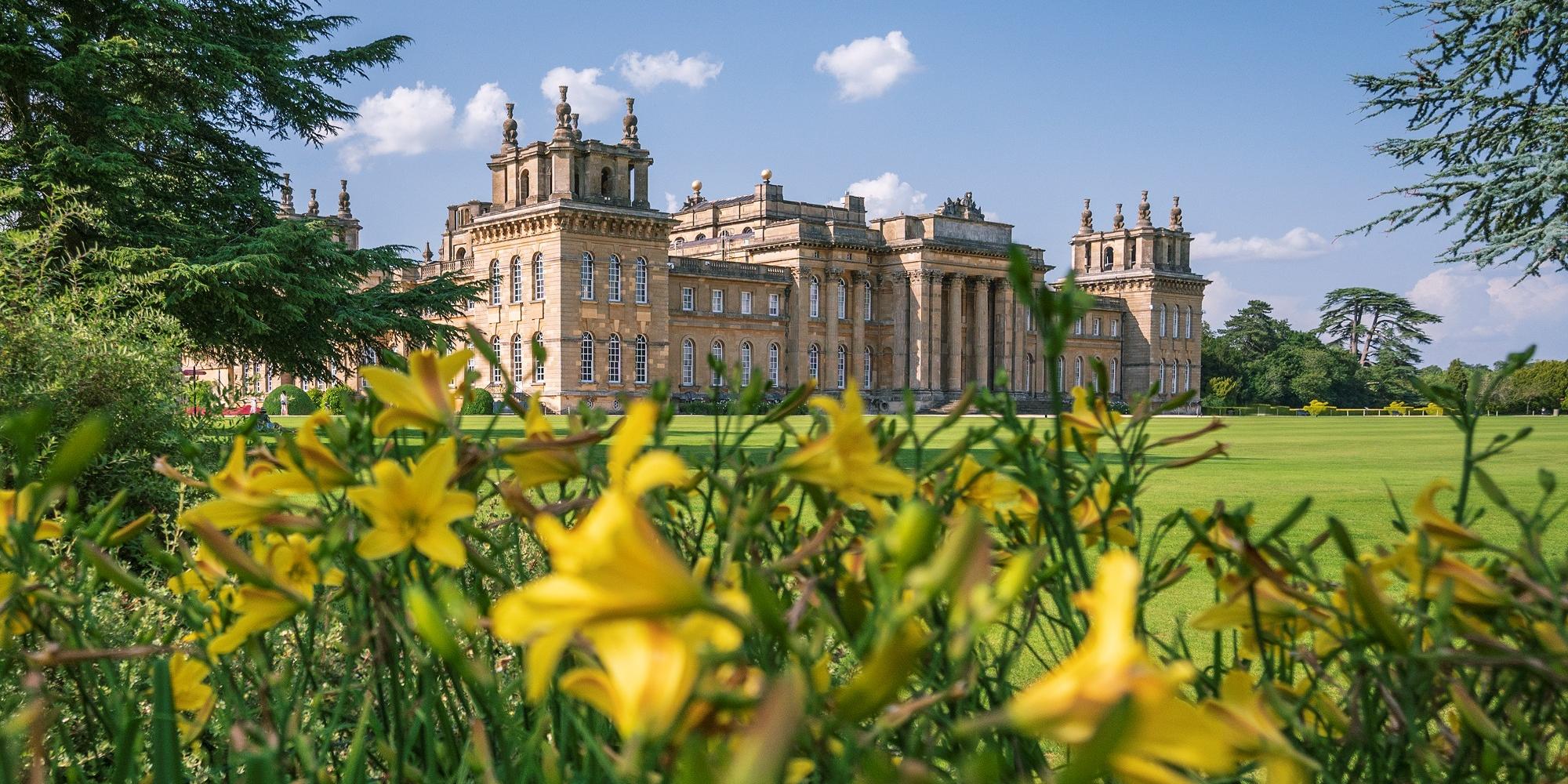 View over Daffodils towards the rear of the Palace