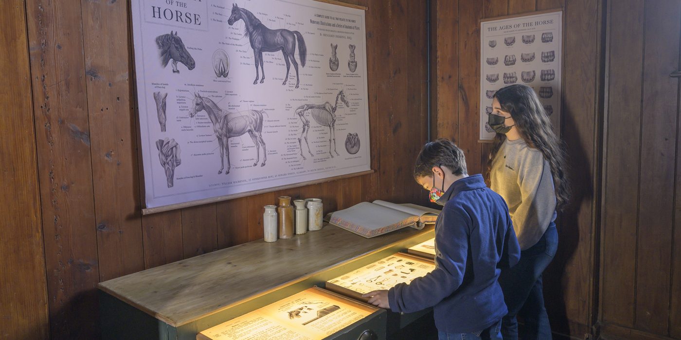 Two children looking at an Anatomy of the Horse chart and illuminated drawers in the stables exhibition