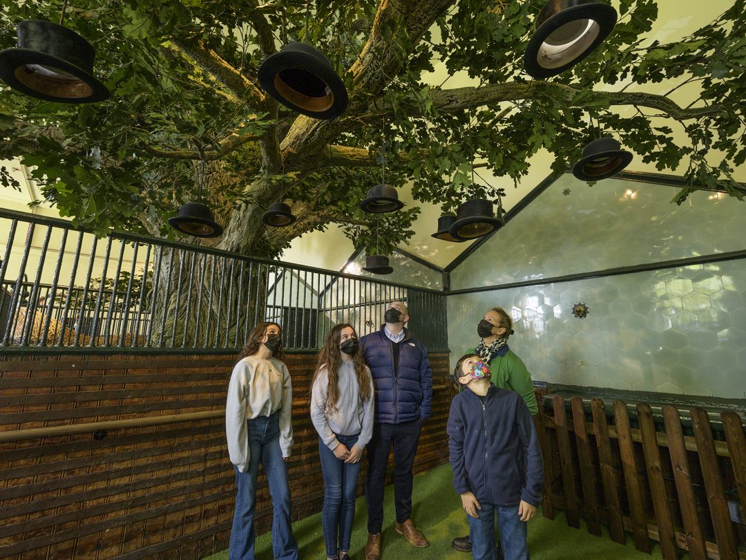 A family beneath an artificial oak tree hung with hat-shaped lights in the stables exhibition