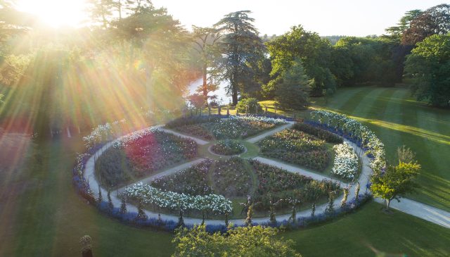 The circular Rose Garden and its radiating beds of roses seen from above in low sunlight