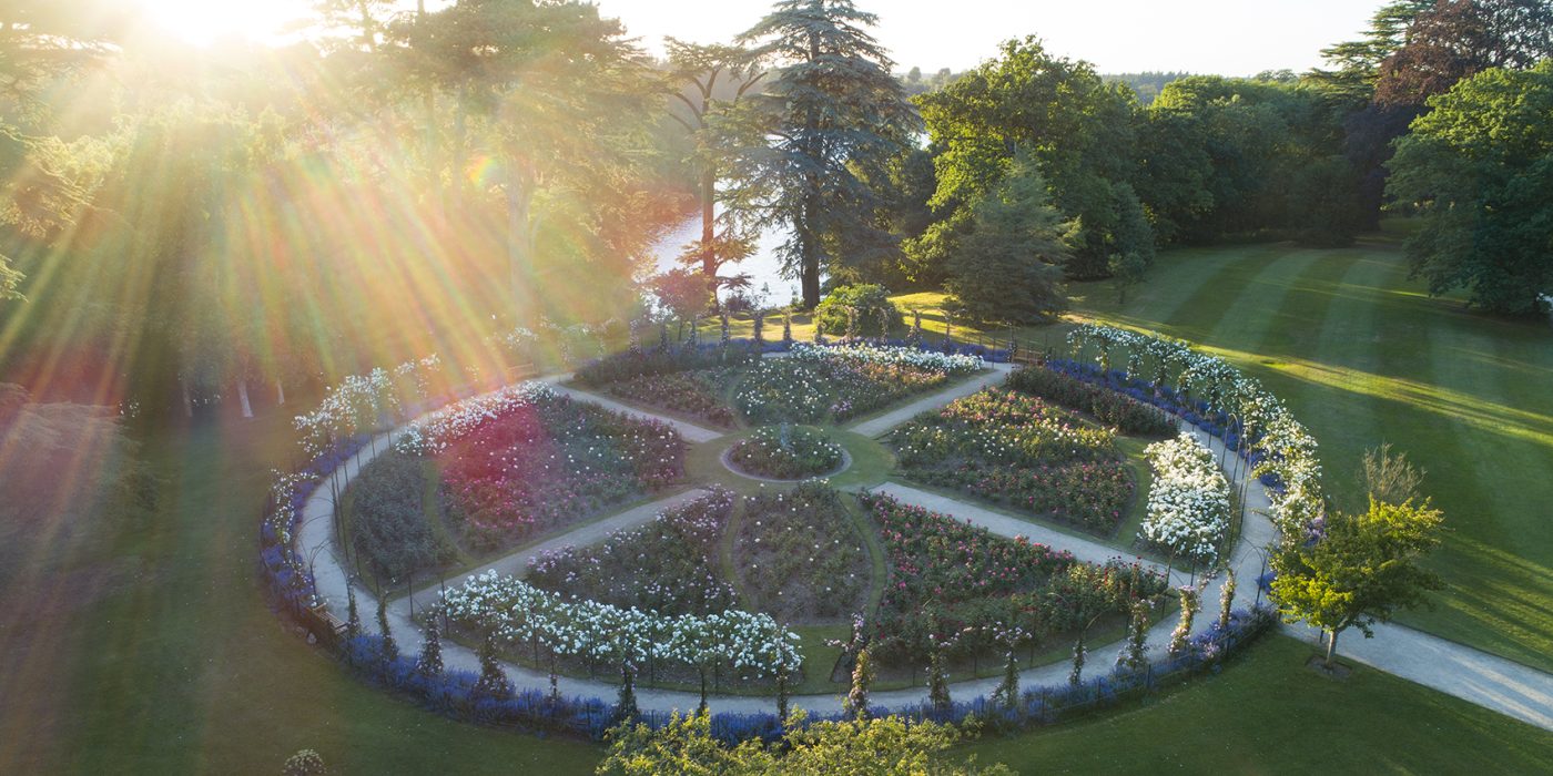 The circular Rose Garden and its radiating beds of roses seen from above in low sunlight