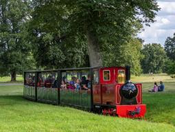 The Miniature Train