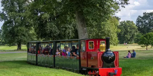 The Miniature Train
