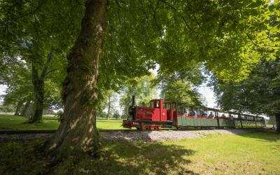 Winston The Miniature Train