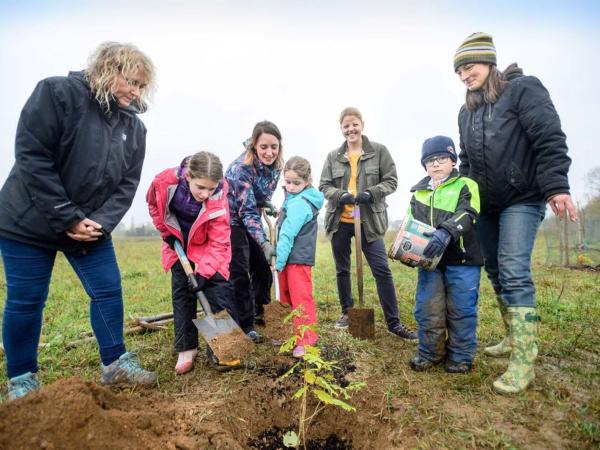 Blenheim Branches Out