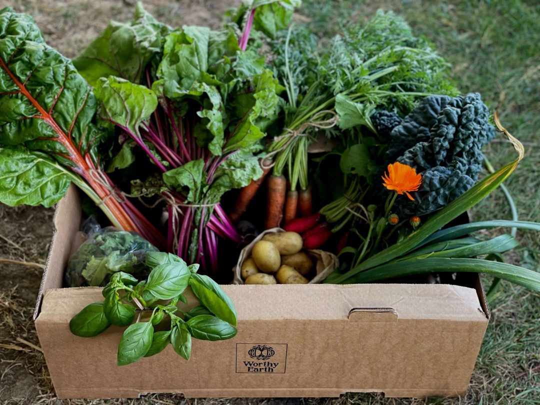 Vegetable Box
