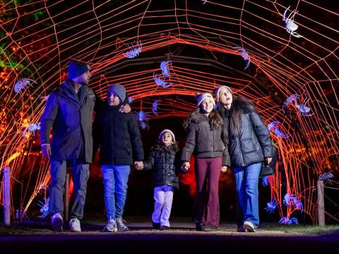 Halloween at Blenheim Palace