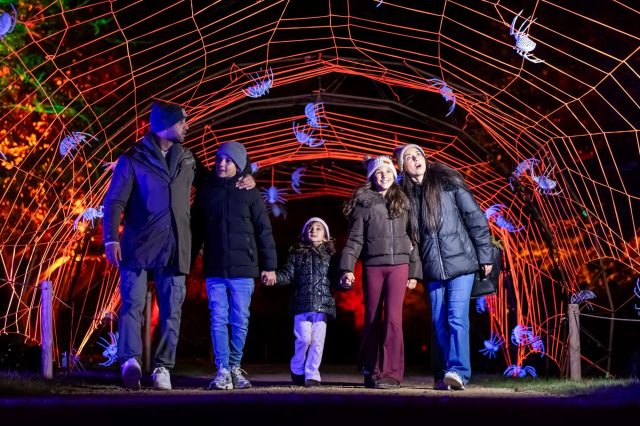 A family meeting a costumed mummy character at a Halloween attraction at night