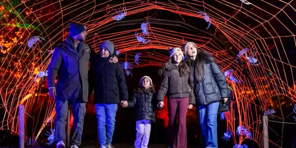 Halloween at Blenheim Palace