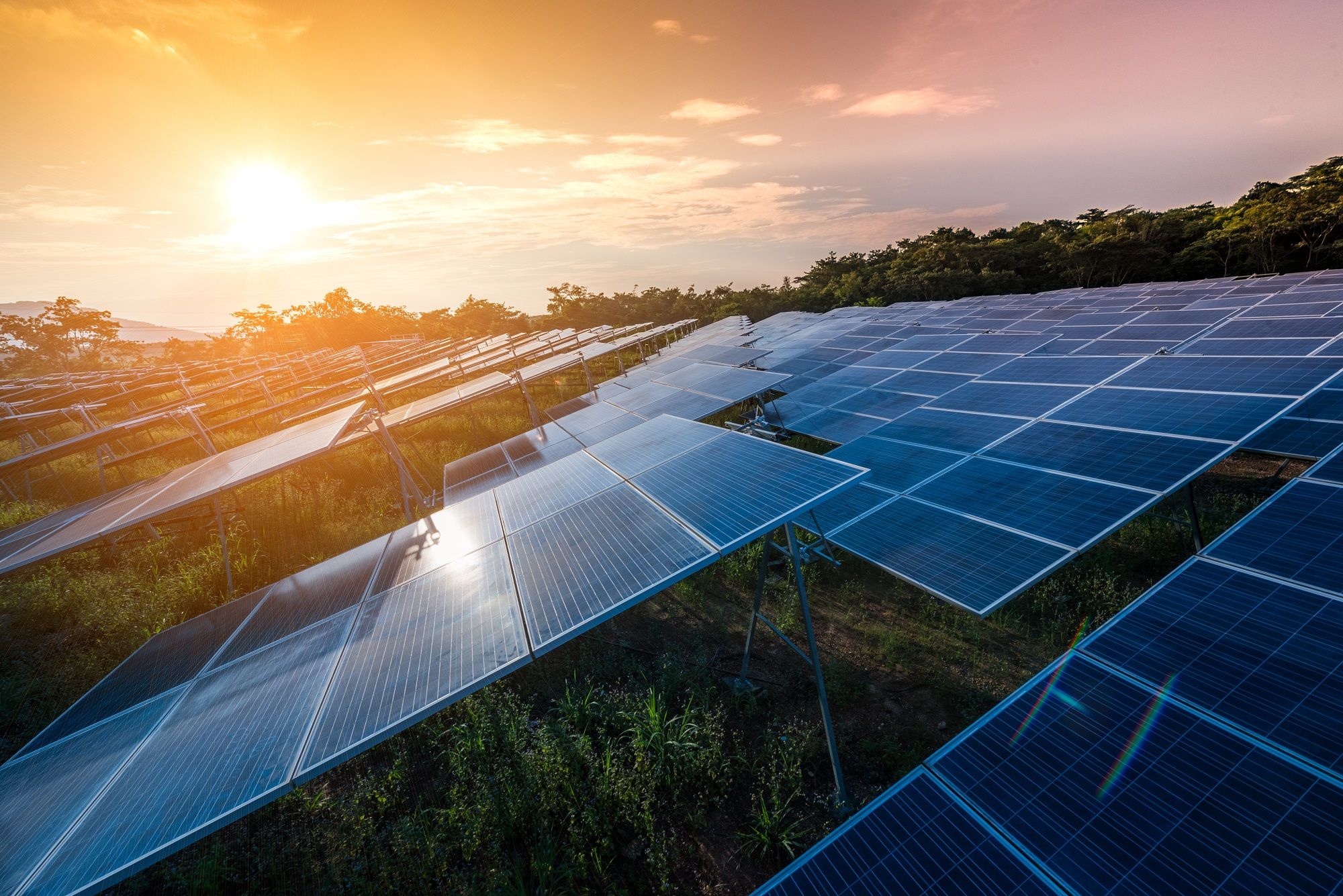 Weaveley Solar Farm