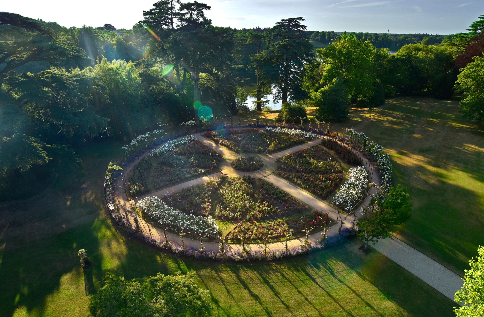 Aerial view of the circular rose garden with paths radiating from the centre, ringed by trees