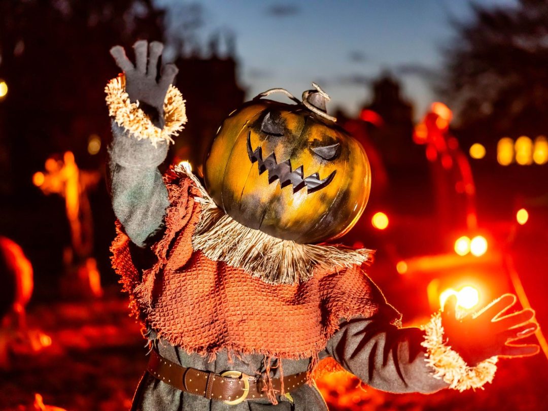 A costumed fortune teller reaching over a glowing crystal ball as letter cards fly from a box