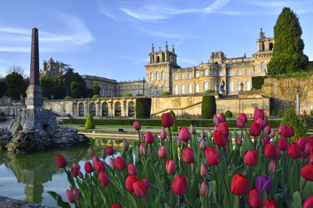 Red tulips in the foreground by the water, with the Palace and an obelisk beyond under a blue sky